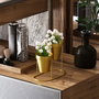 Aberto Design GED-015 Accesorio decorativo de metal dorado